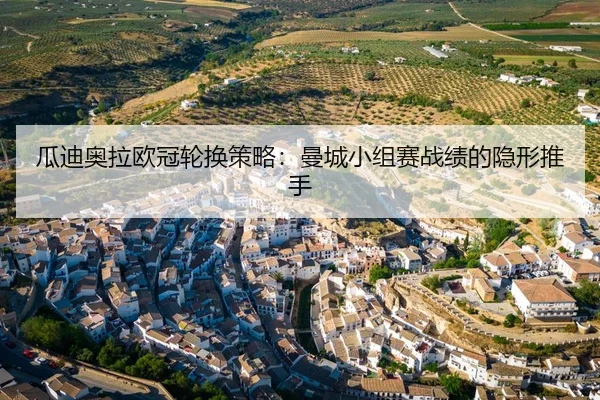 gua-di-ao-la-ou-guan-lun-huan-ce-lve-man-cheng-xiao-zu-sai-zhan-ji-de-yin-xing-tui-shou-3-658.jpg