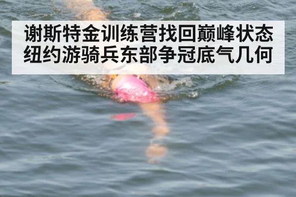 谢斯特金训练营找回巅峰状态 纽约游骑兵东部争冠底气几何